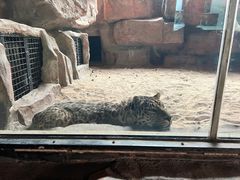 -鄂尔多斯野生动物园