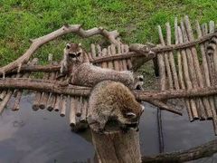 -齐齐哈尔龙沙动植物园
