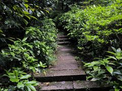 -杭州半山国家森林公园