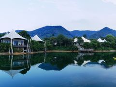 -帐篷客·溪龙茶谷度假酒店