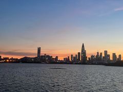 -深圳湾公园(南山区)