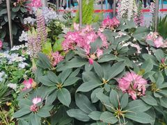 -云南省昆明市正义路步行街(三市街)