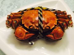 -新光酒家·河豚·海鲜·蟹料理(浦东店)