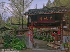 -青城甲(青城山店)