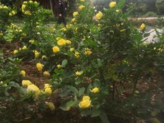 -人民公园(罗湖区)