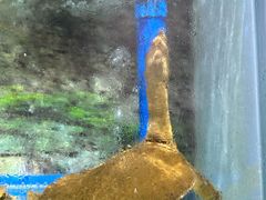 -食理八湘(中海城风情苑北区店)