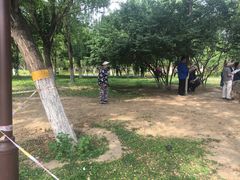 -回龙观体育文化公园