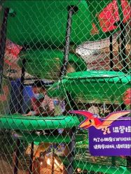-恐龙探索乐园(磁器口店)