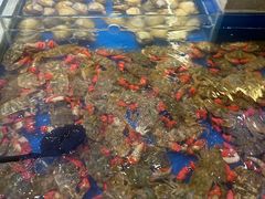 -川骄海鲜自助(河东店)