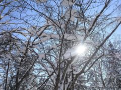 -雪谷