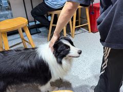 -小桃园·豆浆油条(复兴中路店)