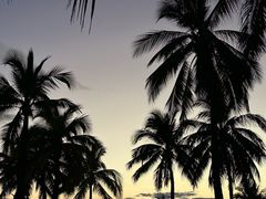 -日落吧·海景咖啡厅·餐酒吧·鸡尾酒·下午茶·乐队表演·浪漫夕阳·三亚文华东方酒店