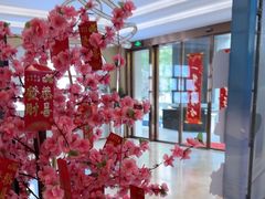 -合肥美奥口腔·种植矫正中心(政务院)