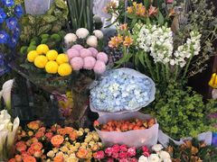 -万商花鸟市场
