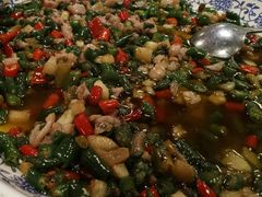 民国霸王兔-杨记隆府(白象街店)