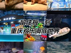 -重庆欢乐海底世界