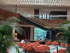-北京望京凯悦酒店The Lounge大堂酒廊