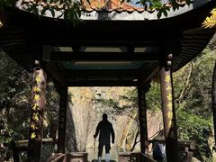 -花岩国家森林公园