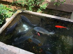 -翕庐小苑