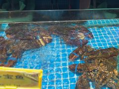 -梦都海鲜酒家(万达广场江桥店)