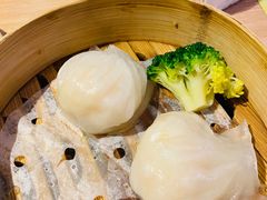 -南枝记