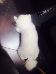 -隅日式美甲美睫專門店