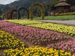-广州市石门国家森林公园
