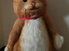 -南宁时代电影大世界(CGS激光中国巨幕)