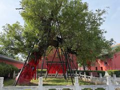 -药王庙(安国市)