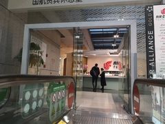 -虹桥机场国航贵宾室v8