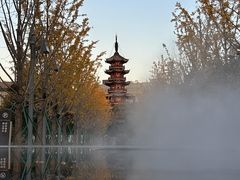 -龙华素斋(龙华路店)