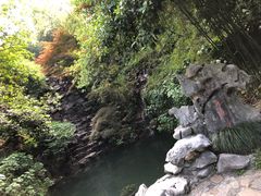 -十八棵（老龙井）御茶园(老龙井店)