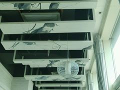 android_upload_pic-老头儿油爆虾(星光一期店)