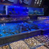 深圳最好吃的海鲜