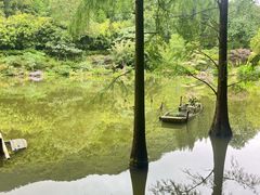 -深圳仙湖植物园
