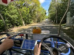 -上海海湾国家森林公园