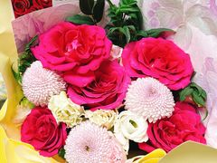 -芍药居北里