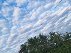 -球溪高级中学
