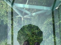 -陶祖圣境风景区