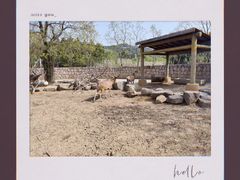 -上方山森林动物世界