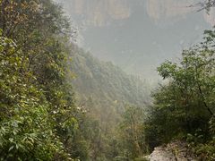 -鹿院坪生态旅游景区