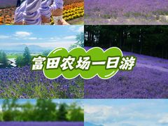 -富田农场