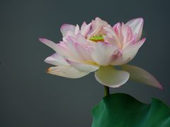 -烈士陵园(地铁站)