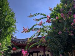 -檀园