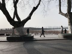 -吴山路夜市