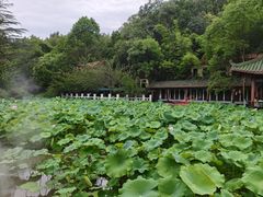 -富乐山