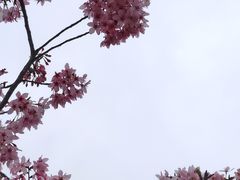 -三圣花乡旅游区