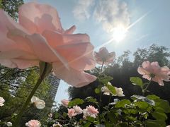 -人民公园(罗湖区)