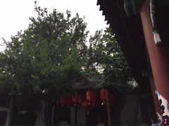 -张家大院·鲁菜·私房菜(芙蓉街店)