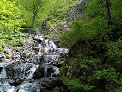 -凤凰山国家森林公园